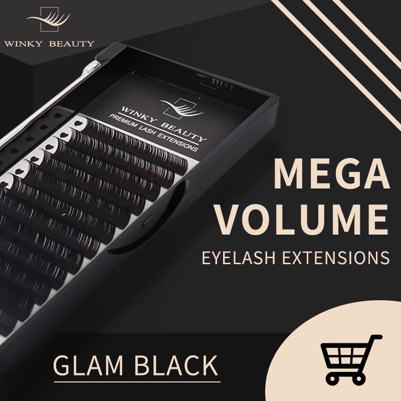 Winky Beauty Custom Your Logo  - Eyelash Extension Logo recension och pris